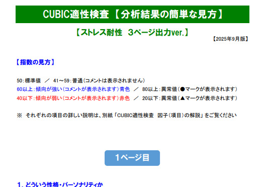 CUBIC適性検査の分析結果の見方：性格特性やストレス耐性、職務適性の読み取り方をまとめたガイドPDF
