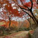 熊本の穴場の紅葉スポット