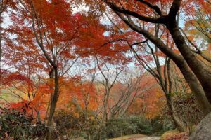 熊本の穴場の紅葉スポット