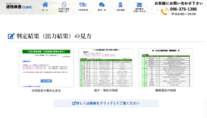 CUBIC適性検査の見方
