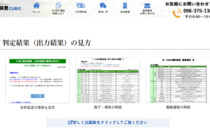 CUBIC適性検査の見方