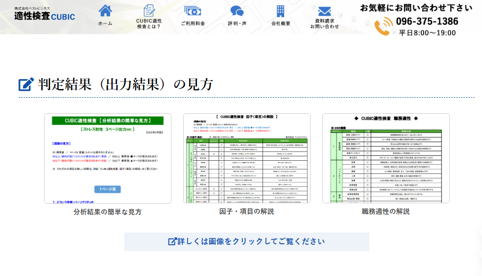 CUBIC適性検査の見方